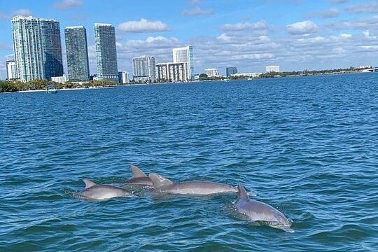 Tour image 9