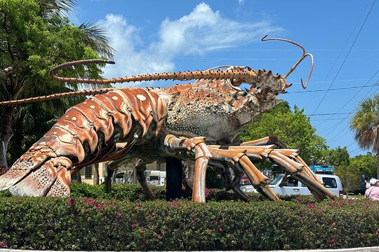 Tour image 11